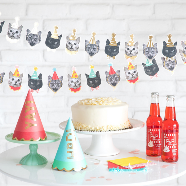 Basic Cat Banner