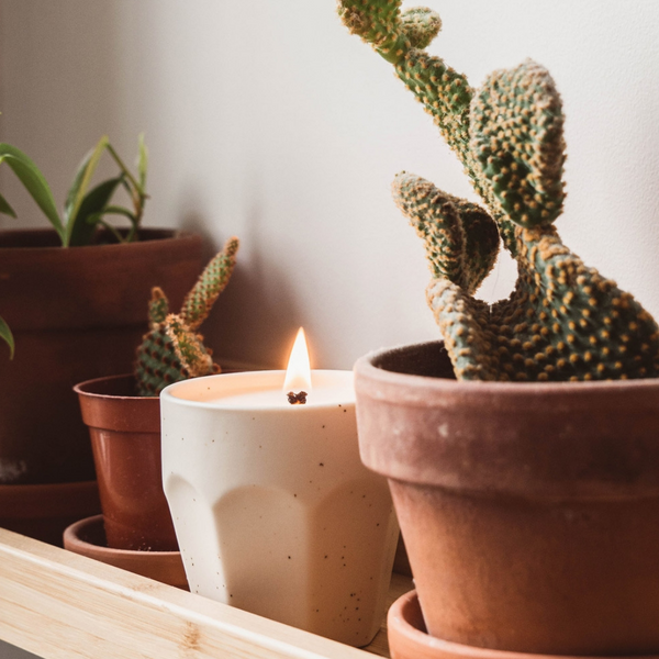 Coco Mango Organic Soy Reusable Candle