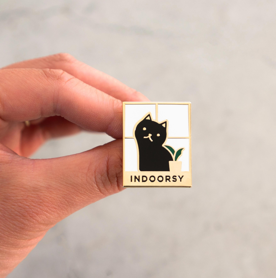 Indoorsy Pin