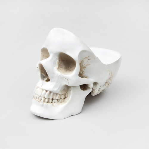 Skull Tidy - White